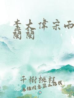 李大伟宋雨睛孙兰兰