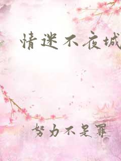情迷不夜城