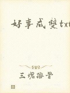 好事成双txt