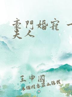 豪门婚宠 一品夫人
