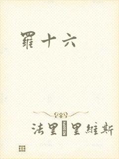 罗十六