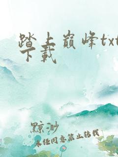 踏上巅峰txt下载