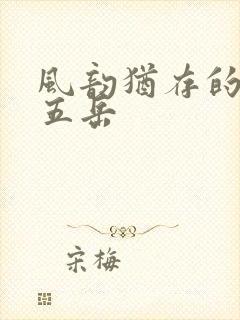 风韵犹存的四十五岳