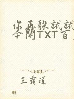 你再躲试试BY今闲TXT百度网盘