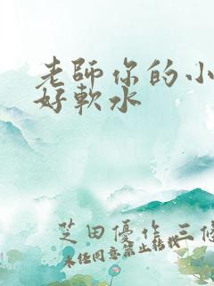 老师你的小兔子好软水