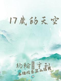17岁的天空