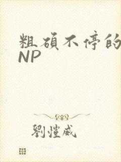 粗硕不停的进出NP
