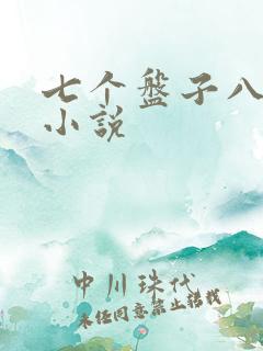 七个盘子八个碗小说