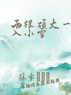 两根硕大一起挤入小雪