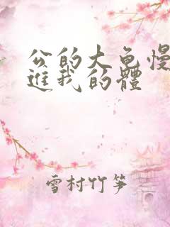 公的大龟慢慢挺进我的体