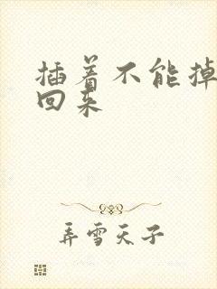 插着不能掉等我回来