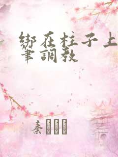 绑在柱子上用毛笔调教