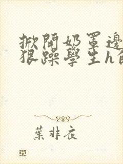 掀开奶罩边躁狠狠躁学生h的小说