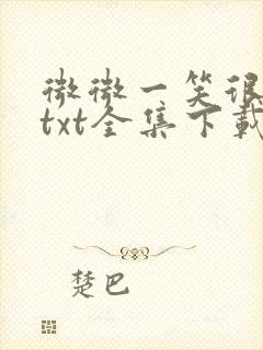 微微一笑很倾城txt全集下载