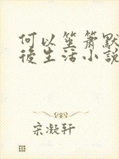 何以笙箫默之婚后生活小说