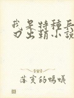 我是特种兵之利刃出鞘小说