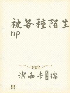 被各种陌生人 np