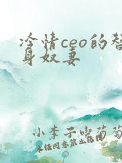 冷情ceo的替身奴妻