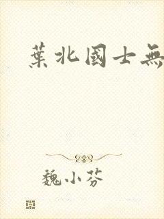 叶北国士无双