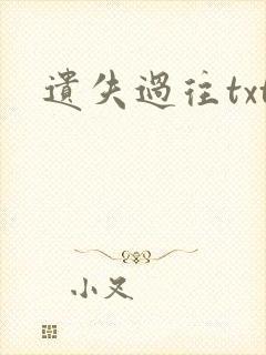 遗失过往txt