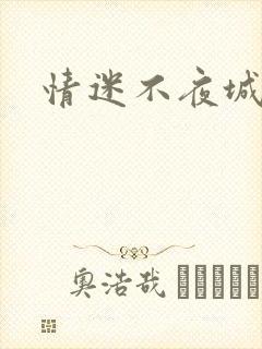 情迷不夜城