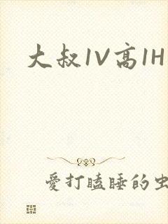 大叔1V高1H