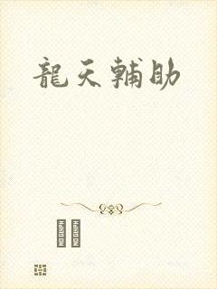龙天辅助