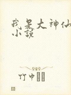 我是大神仙时江小说