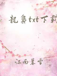 龙枭txt下载