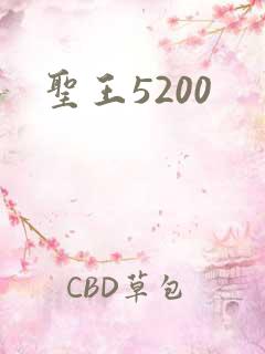 圣王5200