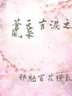 苍天有泪之军人风采