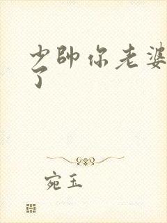 少帅你老婆又跑了