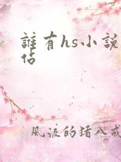 谁有hs小说网站