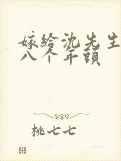 嫁给沈先生的第八个年头