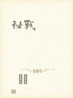 秘战