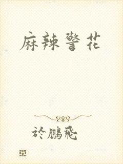 麻辣警花