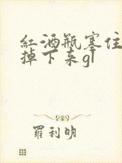 红酒瓶塞住不准掉下来gl