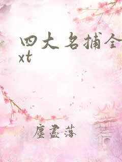 四大名捕全集txt