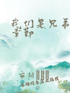 我们是兄弟最新章节