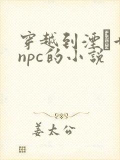 穿越到湮婸世界npc的小说