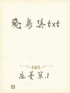飞鸟集txt