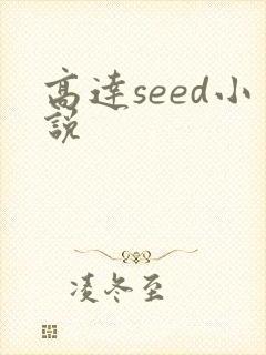 高达seed小说