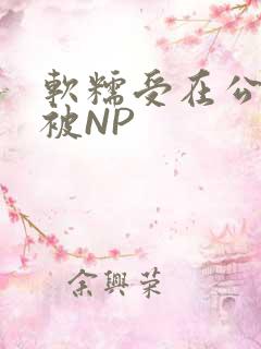 软糯受在公交车被NP