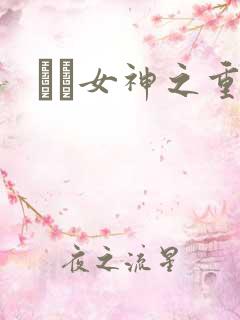 鹡鸰女神之重生