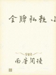 金牌私教 小说