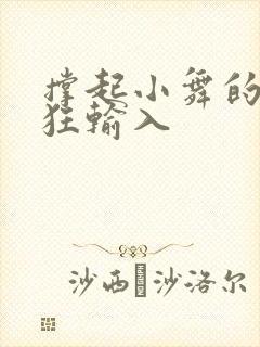 撑起小舞的腿疯狂输入