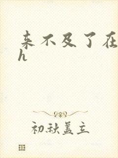 来不及了在车ch