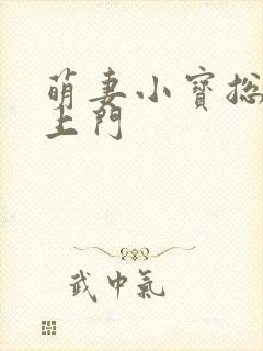 萌妻小宝总裁找上门