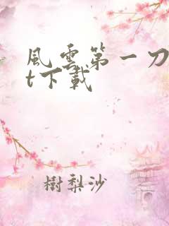 风云第一刀txt下载