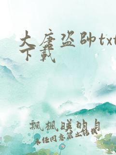 大唐盗帅txt下载